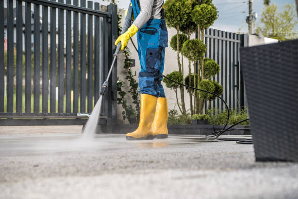 Best Eco-Friendly Pressure Washing in Hawkinsville, GA